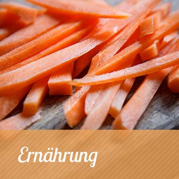 Ernährung